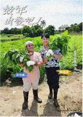 两个人的厨房综艺免费观看